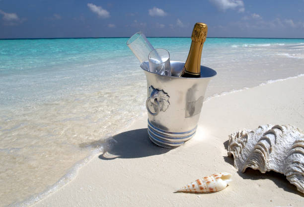 Luxury Vacation - Champagne on ice for two, on a tropical beach in the Maldives.
