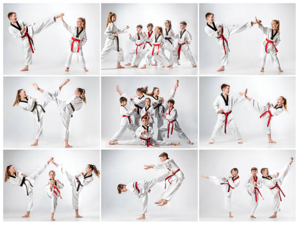 아이 들이 라 데 무술 훈련 그룹의 스튜디오 샷 - karate belt martial arts judo 뉴스 사진 이미지