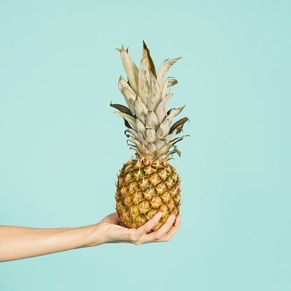 Female hand holding ripe pineapple on a green background