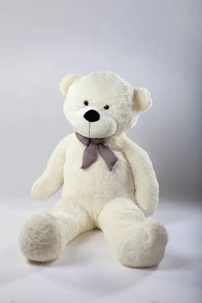 Photo of Big Bear soft toy isolated on white background