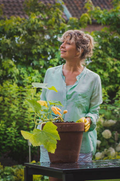 istock Attractive woman processes vegetable  in her garden looking up. 887532538