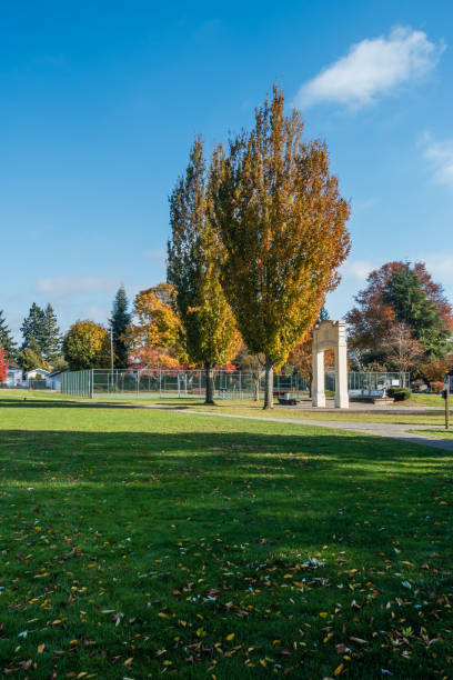istock City Park In Autumn 3 887537338