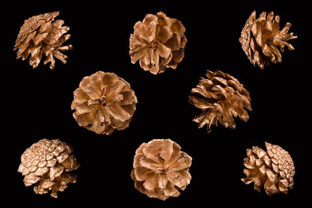 istock Golden pine cones on a black background 887540314
