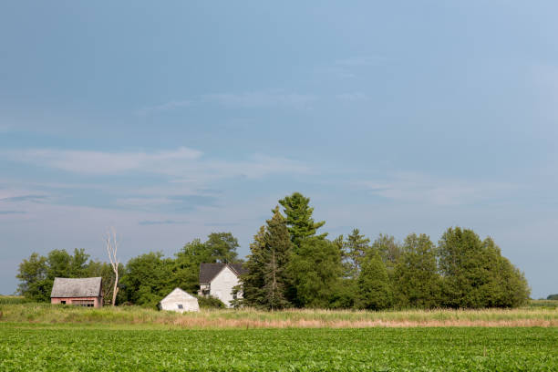 istock Abandoned Rural Homestead with Copy Space 887554284