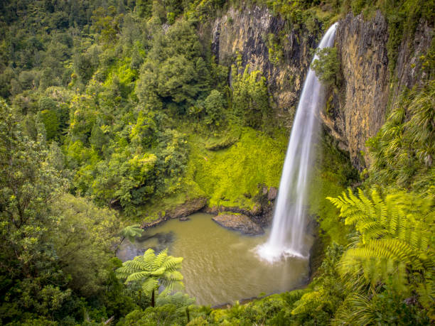 cascada de la selva alta en la exuberante selva tropical - kahurangi fotografías e imágenes de stock