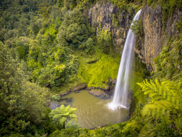 High Jungle Waterfall in Lush Rain Forest High Jungle Waterfall in Lush Rain Forest near Raglan, New Zealand munich airport stock pictures, royalty-free photos & images