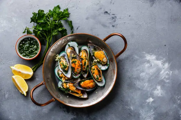 Shellfish Mussels Clams in copper cooking pan with parsley and lemon on concrete background copy space