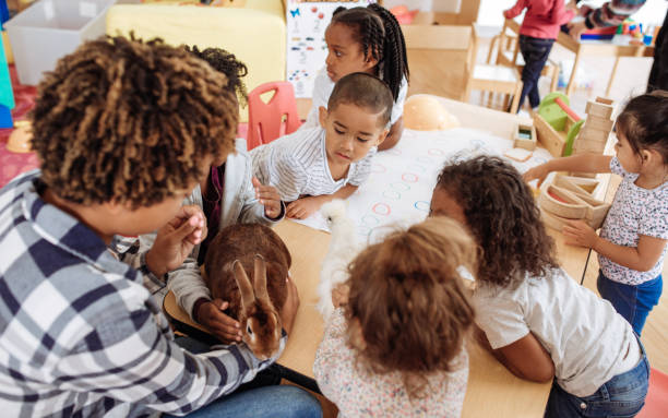 istock Cute domestic animals visiting daycare 887557902