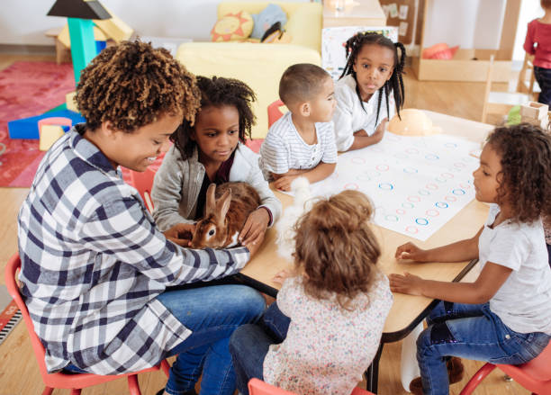 istock Cute domestic animals visiting daycare 887557906