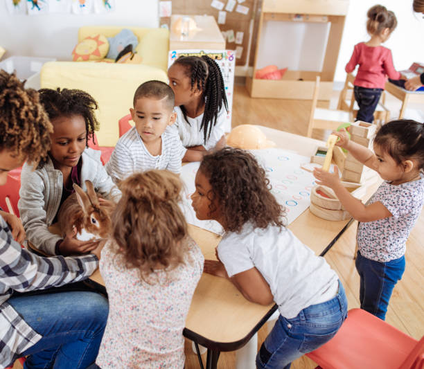 istock Cute domestic animals visiting daycare 887557934