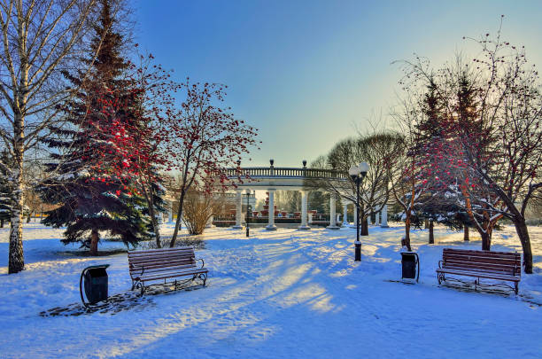 istock Winter walk through the snow-covered city park 887568558