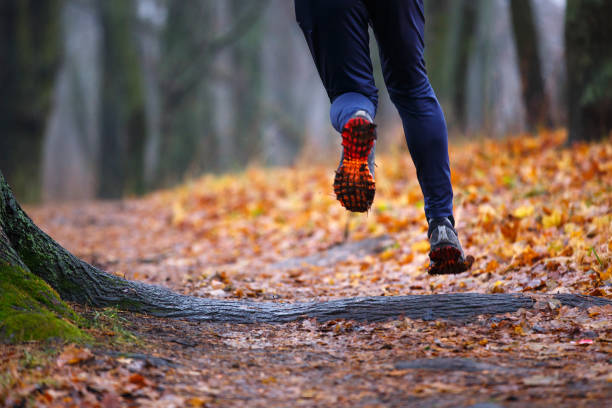 autumn trail running background. - wood dirt road footpath exercising imagens e fotografias de stock