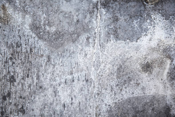 istock Grunge cement wall. cement wall. cement texture background 887589158