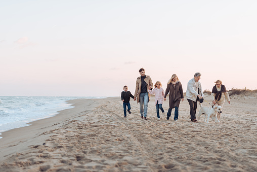family holding hands and walking with dog at seaside