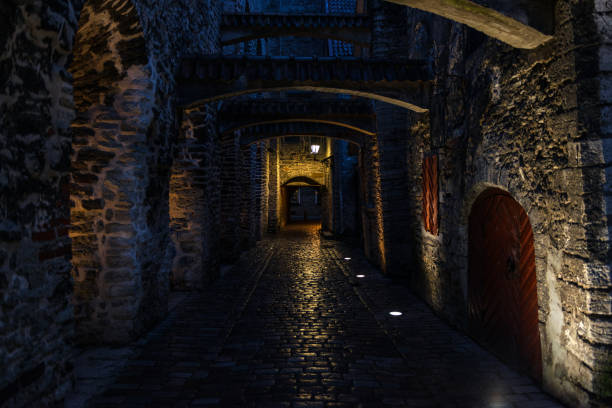 istock St. Catherine's Passage at night in Tallinn 887594596