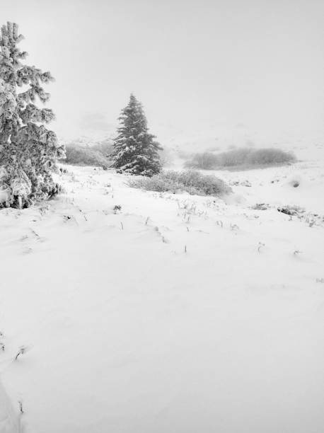 istock Snow in the mountain 887602028