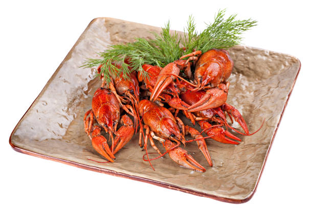 istock Boiled  crayfish with dill  on the plate. 887605666