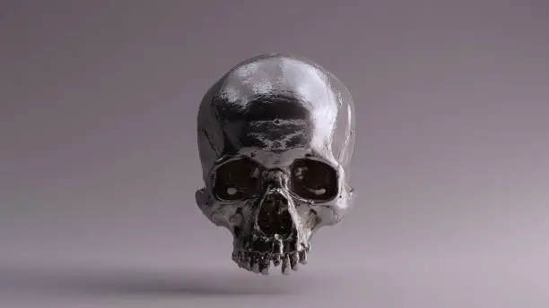 Photo of Silver Skull Front