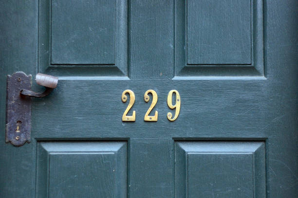 Green door with number 229