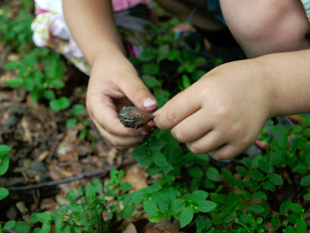 istock Baby hands holding plant 887633154