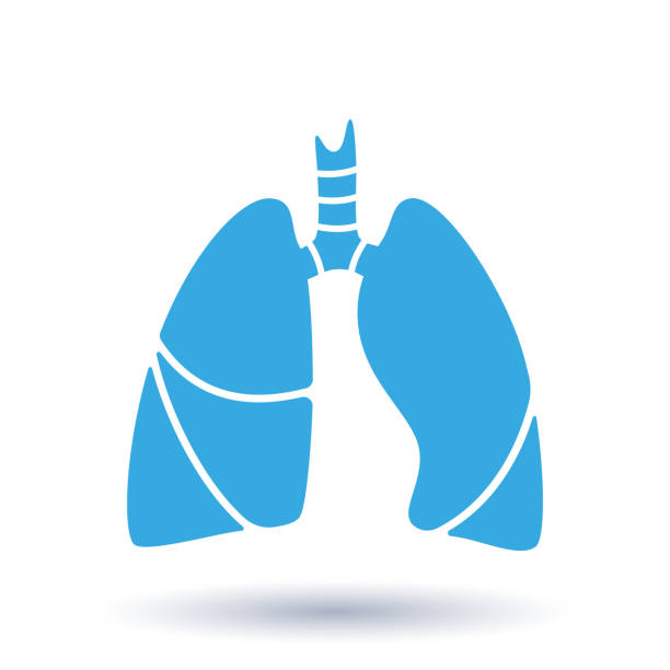 人間の体の器官 - 気管と肺のベクトル シルエット医療イラスト。クリニック、病院のシンボル テンプレートです。喘息、結核、肺炎のシンボル。呼吸器系の健康管理。 - lobe点のイラスト素材／クリップアート素材／マンガ素材／アイコン素材