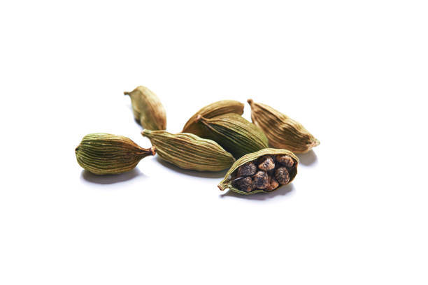зеленый кардамон - cardamom seed plant isolated стоковые фото и изображения