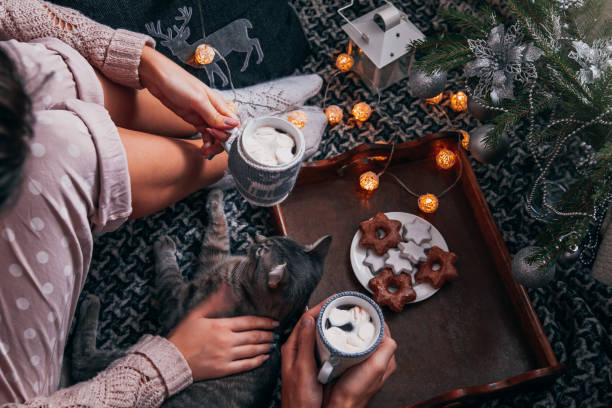 istock Couple having hot chocolate under the Christmas tree 887641906