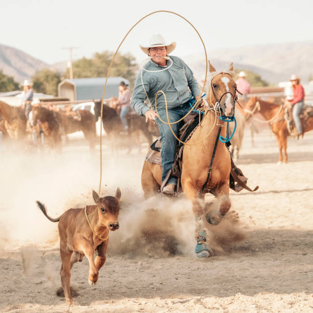 Skilled cowboy calf roping.