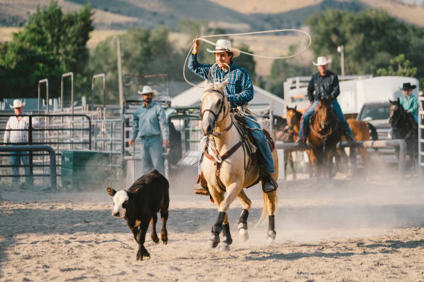 istock Cowboy Lifestyle in Utah 887646792