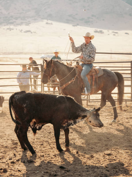 istock Cowboy Lifestyle in Utah 887646922