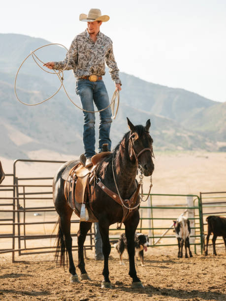 istock Cowboy Rancher with a Lasso 887646998