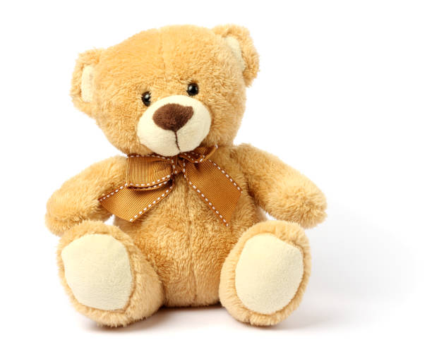 toy teddy isolated on white background