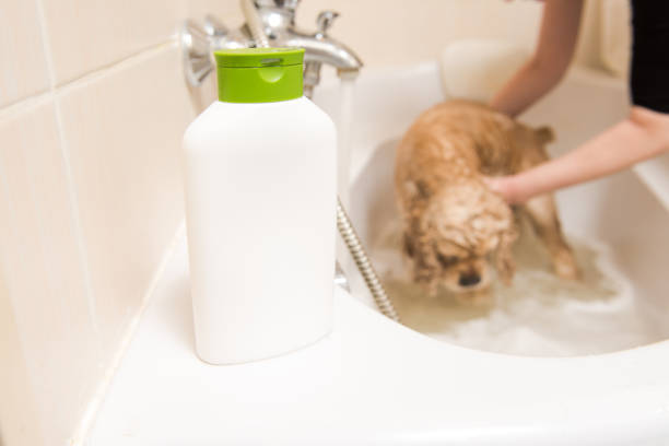 istock Bottle with shampoo in the bathroom 887651362