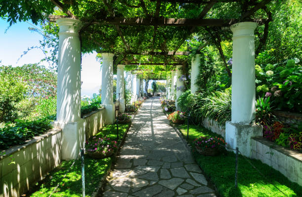 istock Capri island, Italy 887651926