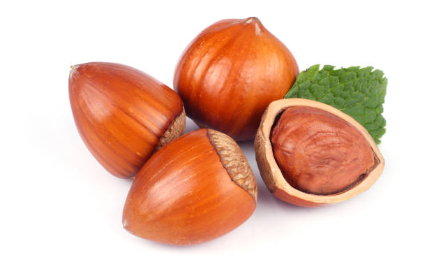 istock hazelnuts with green leaf isolated on white background 887651970