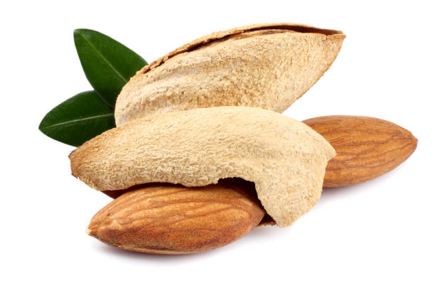 istock almond with green leaf isolated on white background 887652102