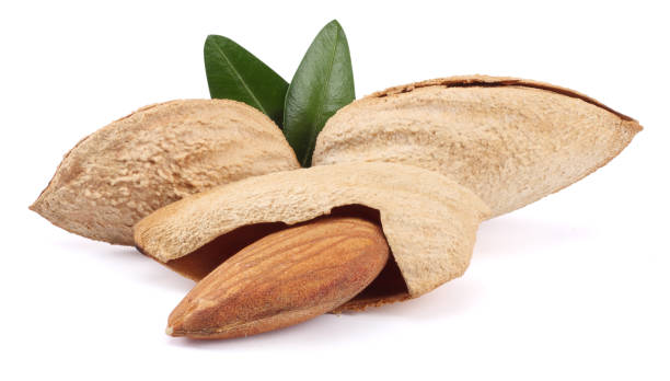 istock almond with green leaf isolated on white background 887654196