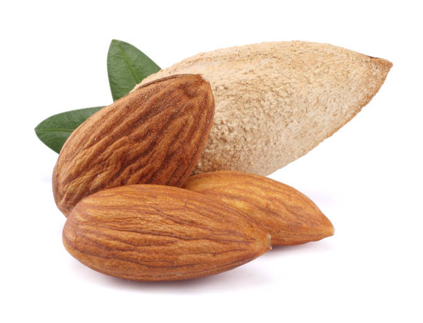 istock almond with green leaf isolated on white background 887654214