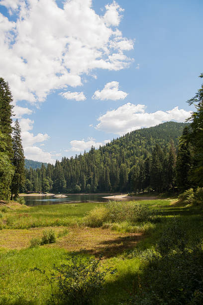 istock Majestic mountain wild forest lake 887655514
