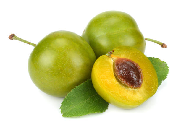 istock green plum fruit isolated on white background 887656528