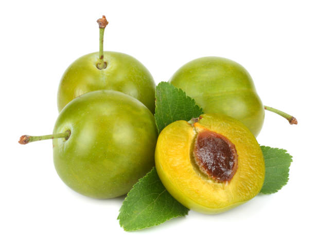 istock green plum fruit isolated on white background 887657696