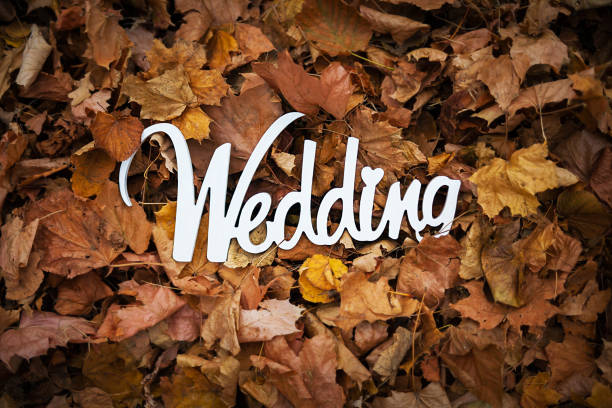 istock Autumn wedding wooden sign on the leafage 887664632
