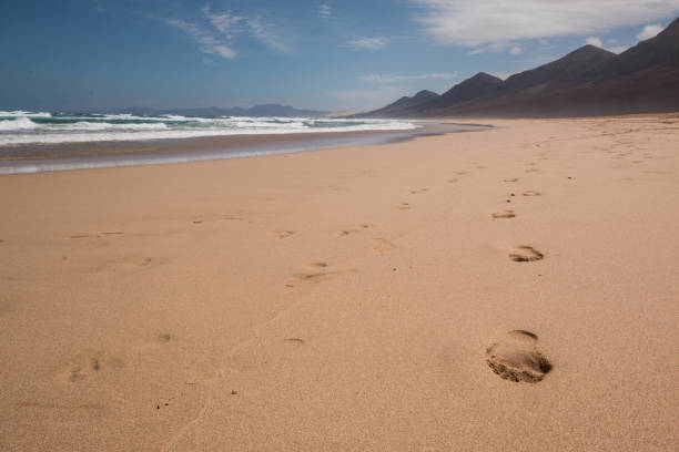 istock Footprints on the sand. Fuerteventura, Spain. 887679988