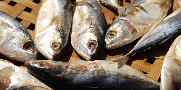 istock Close-up of dried fish 887688212