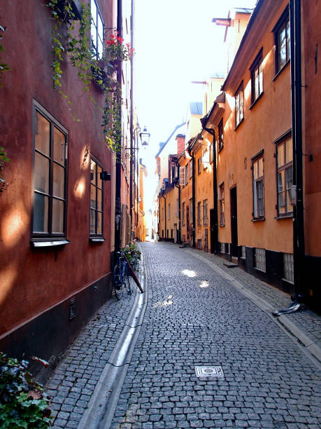 istock Historical cobbled stone street with buildings 887690988