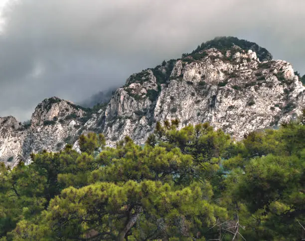 mountain,forest and sky in turkey