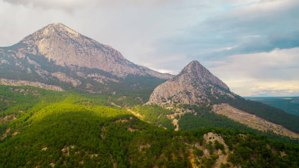 View from the top of the forest