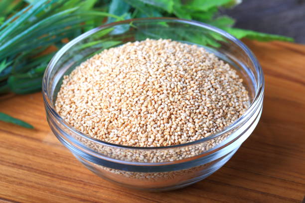 sesame seeds - sesame seed spoon scoop imagens e fotografias de stock