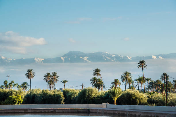 Menara Gardens (Jardins Menara) in front of Atlas Mountains, Marrakech, Morocco