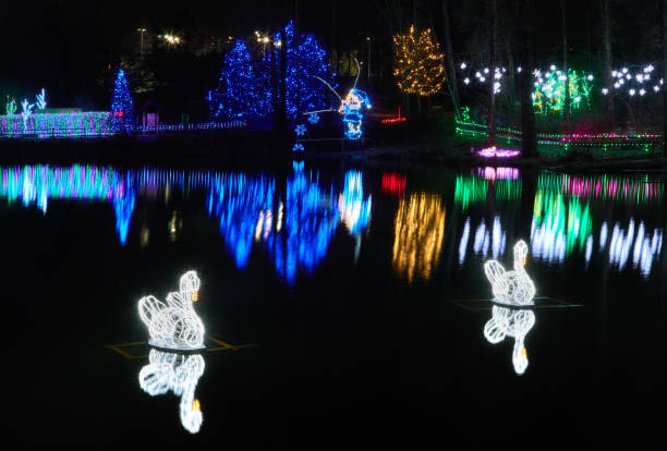 Lafarge Lake in Coquitlam during Christmas